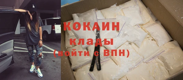 винт Бородино