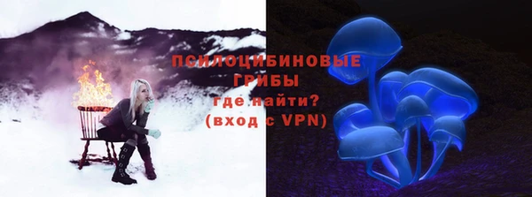 бошки Богородск