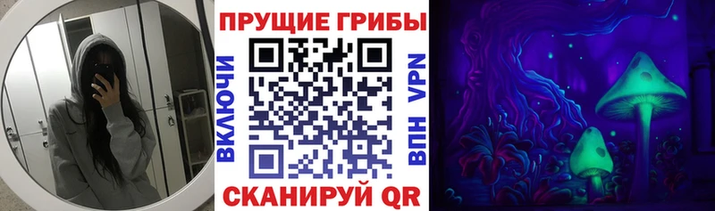 Купить где  Тюкалинск  Псилоцибиновые грибы GOLDEN TEACHER 