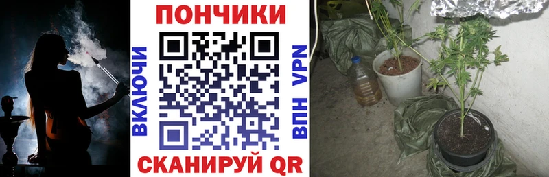 Купить где  Тюкалинск  Каннабис Ganja 